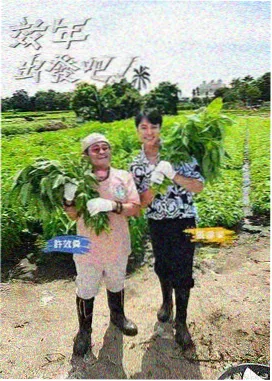 秋霞视频西部世界科幻